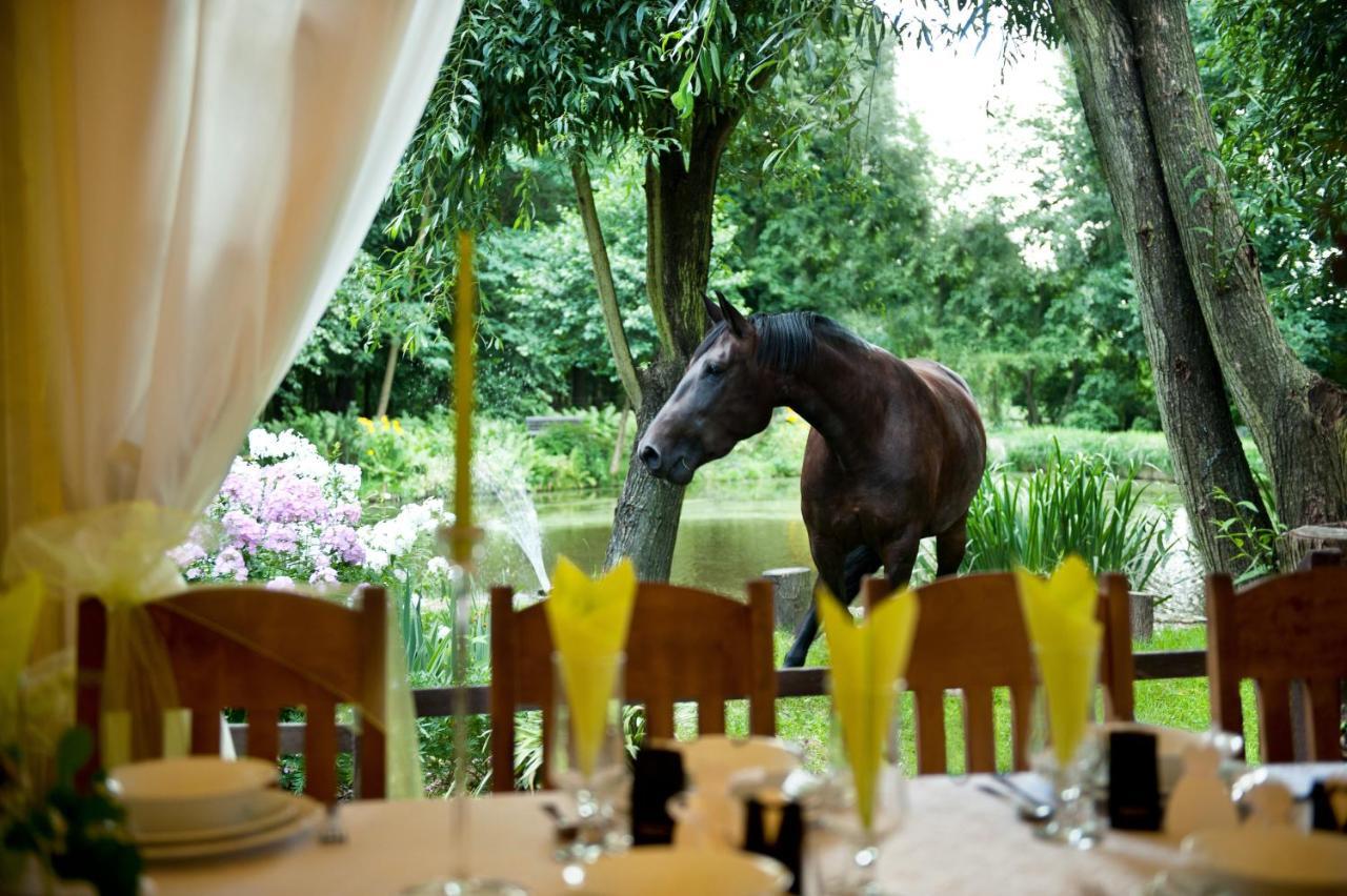 Bed and Breakfast Ślężański Młyn Szczepanów Zewnętrze zdjęcie